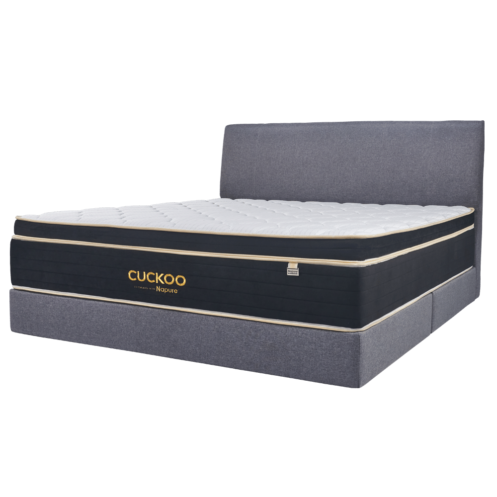 tilam-cuckoo-a-luxe-1